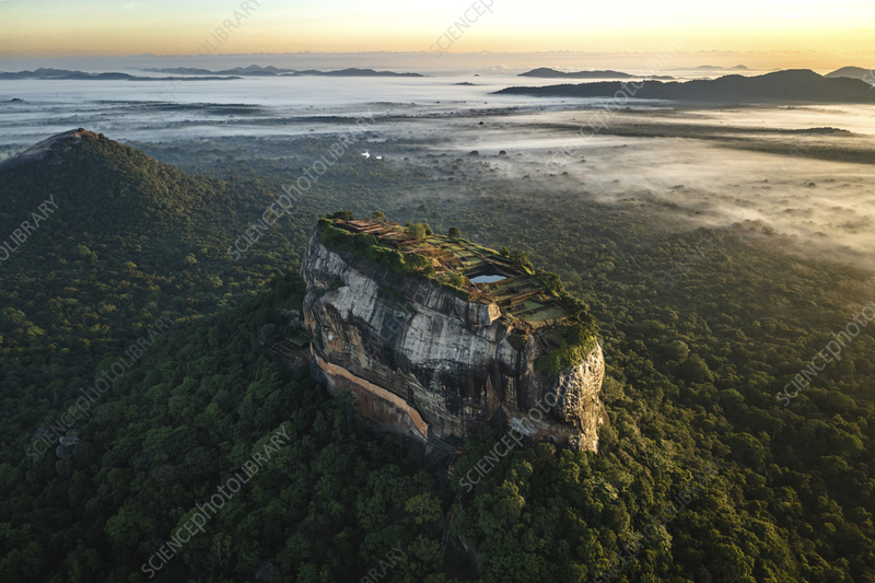 Ceylon Ultimate Escape – Wildlife, Highlands & Coastal Luxury (7 Days)